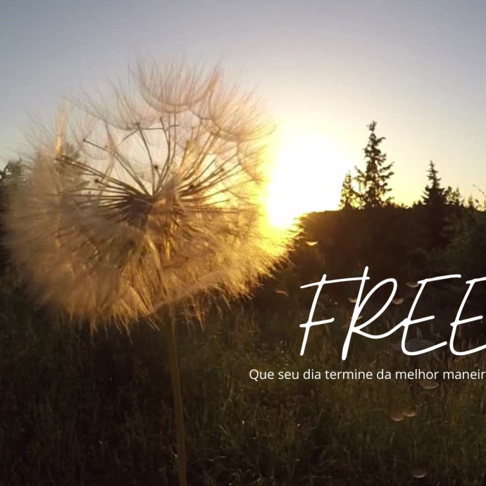 FREE_FINAL DO ANO
