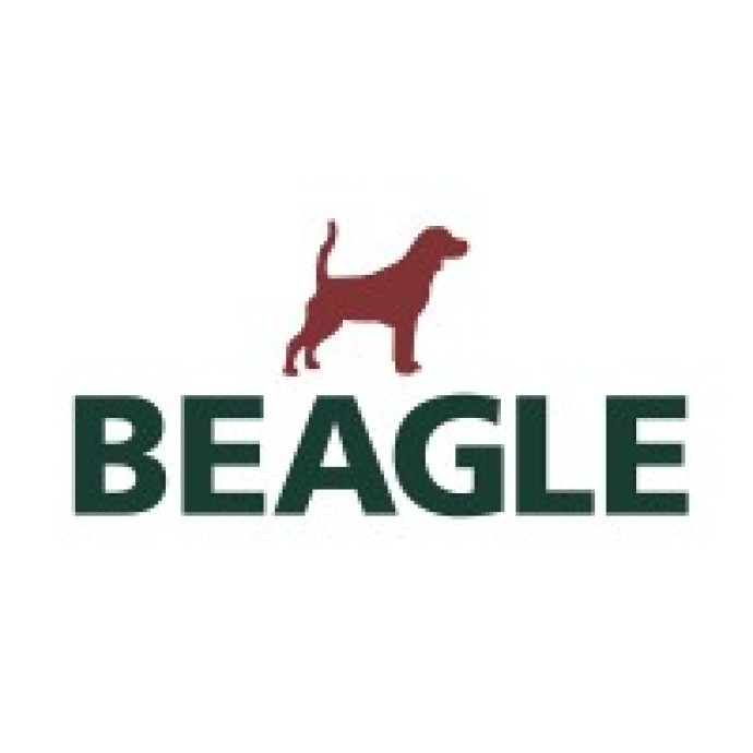 BEAGLE COM PROCESSO SELETIVO DIVERSAS VAGAS