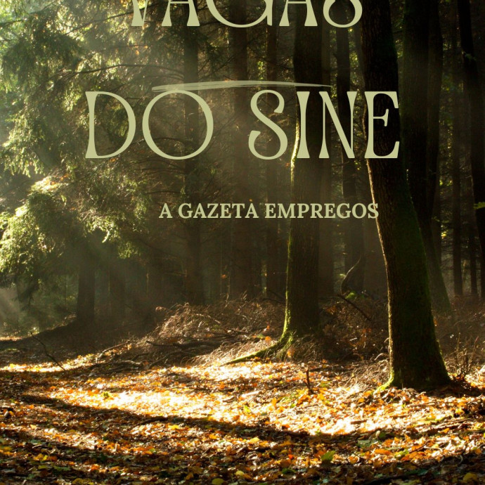 PAINEL DE VAGAS 29/08/2025 (Sexta-feira)_SINE